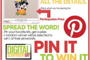 DSD Pin It To Win It Game
