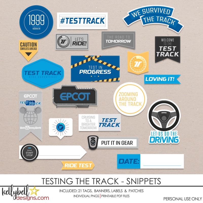 Testing the Track Snippets