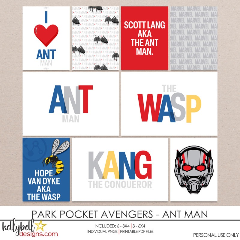 Park Pocket Avengers Ant Man