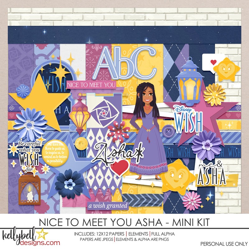 Nice to Meet You Asha Mini Kit