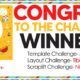 Summer Fest Challenge Winners!