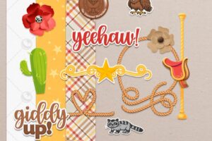 2026 DSD Grab Bag Add-On Freebie – Sat & Sun Only!